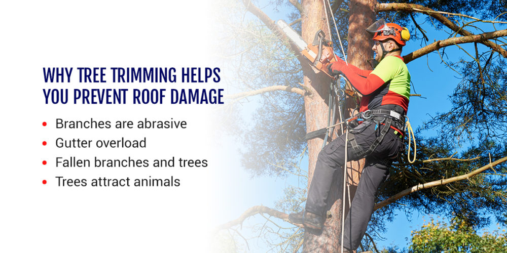 The Importance of Tree Trimming for Roof Maintenance - USRoofing